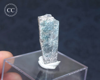 Tourmaline Crystal - Namibia #9