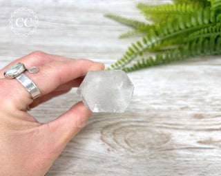 Black Tourmaline in Quartz Crystal #1