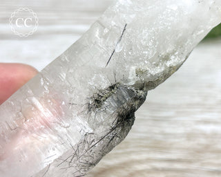 Black Tourmaline in Quartz Crystal #1