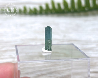Blue Tourmaline Crystal #8