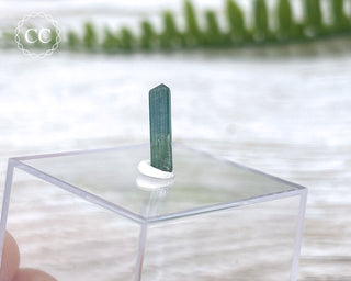 Blue Tourmaline Crystal #8