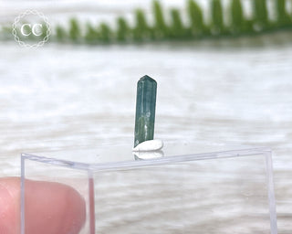 Blue Tourmaline Crystal #8