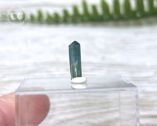 Blue Tourmaline Crystal #8