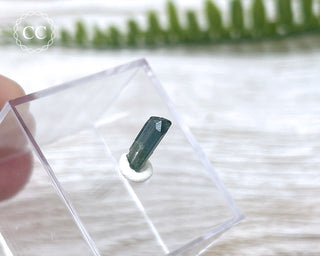 Blue Tourmaline Crystal #8