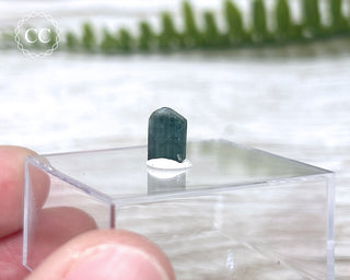 Blue Tourmaline Crystal #9