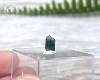 Blue Tourmaline Crystal #9