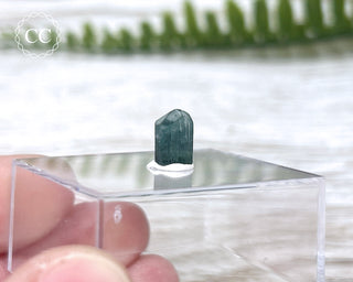 Blue Tourmaline Crystal #9