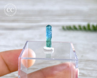 Blue Tourmaline Crystal #8