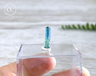 Blue Tourmaline Crystal #8