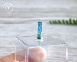 Blue Tourmaline Crystal #8