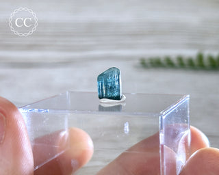 Blue Tourmaline Crystal #9