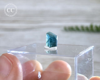 Blue Tourmaline Crystal #9