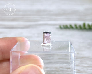 Pink Tourmaline Crystal #14