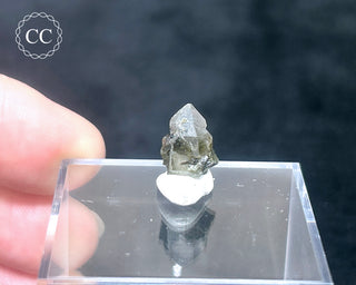Tourmaline in Quartz Crystal #1