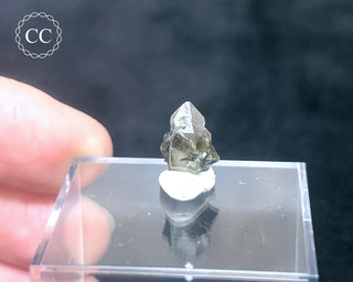 Tourmaline in Quartz Crystal #1