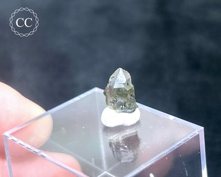 Tourmaline in Quartz Crystal #1