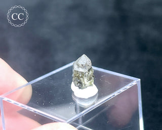 Tourmaline in Quartz Crystal #1