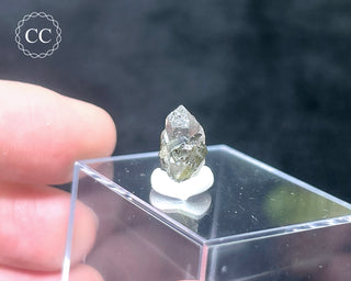 Tourmaline in Quartz Crystal #1