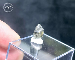 Tourmaline in Quartz Crystal #1