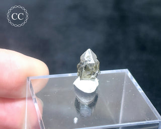 Tourmaline in Quartz Crystal #1