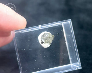 Tourmaline in Quartz Crystal #1