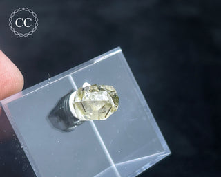 Tourmaline in Quartz Crystal #2