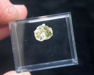 Tourmaline in Quartz Crystal #2