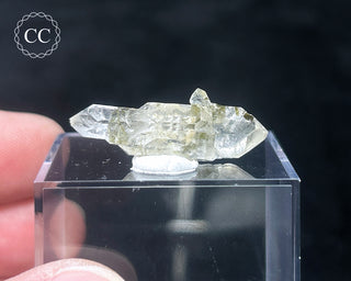 Tourmaline in Quartz Crystal #3