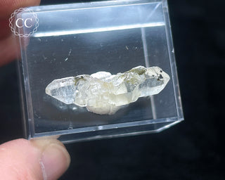 Tourmaline in Quartz Crystal #3