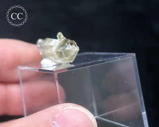 Tourmaline in Quartz Crystal #3