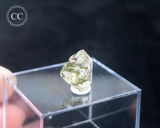 Tourmaline in Quartz Crystal #2