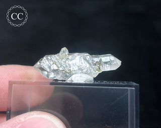 Tourmaline in Quartz Crystal #3