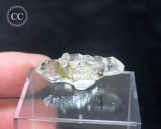 Tourmaline in Quartz Crystal #3
