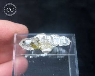 Tourmaline in Quartz Crystal #3