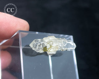 Tourmaline in Quartz Crystal #3
