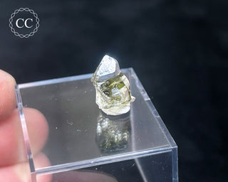 Tourmaline in Quartz Crystal #2