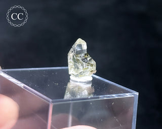 Tourmaline in Quartz Crystal #2