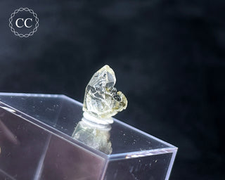 Tourmaline in Quartz Crystal #2