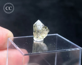 Tourmaline in Quartz Crystal #2