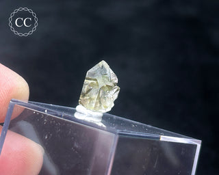 Tourmaline in Quartz Crystal #2
