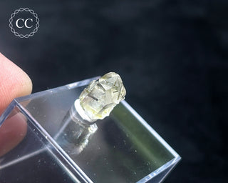 Tourmaline in Quartz Crystal #2