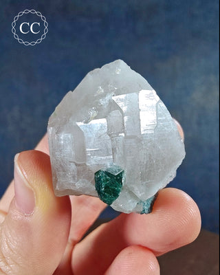 This lovely specimen shows Blue Tourmaline, aka Indicolite, in Quartz, and is from Brazil.