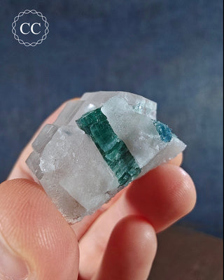 Blue Tourmaline in Quartz #4