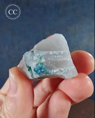 Blue Tourmaline in Quartz #4