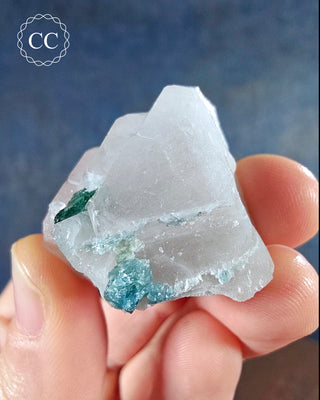 Blue Tourmaline in Quartz #4