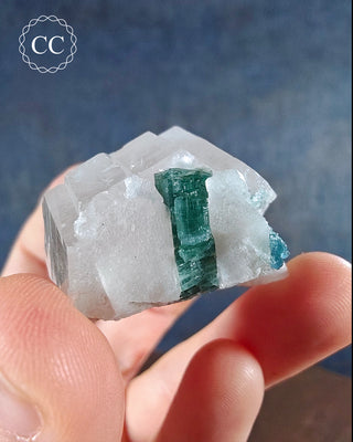 Blue Tourmaline in Quartz #4