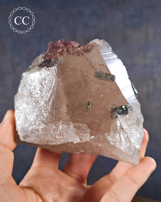 A specimen from Brazil showing a soft blue Tourmaline growing within a slightly smoky Quartz, with some purple Lepidolite also present.
