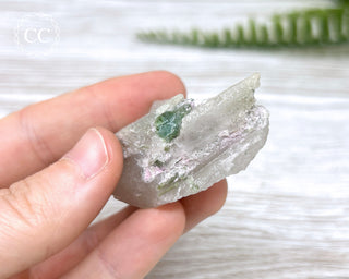 Tourmaline in Quartz #6