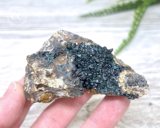 Turgite over Quartz - Spain #6