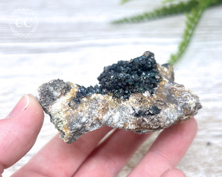 Turgite over Quartz - Spain #6